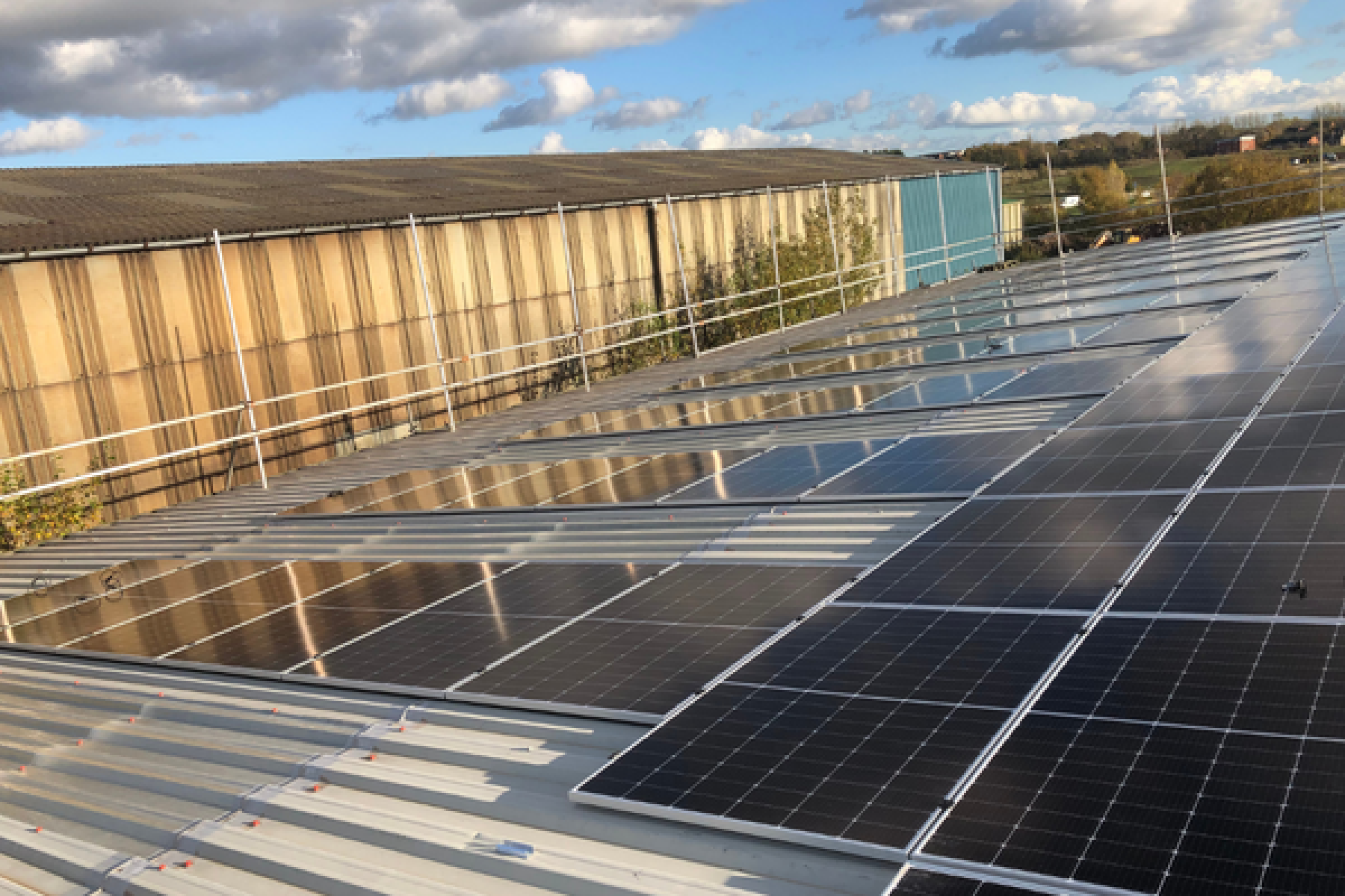 Solar Panels Shine a Light on Sustainable Future
